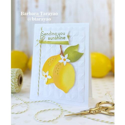 Simon Says Stamp! Simon Says Stamp LEMON ZEST Wafer Dies sssd112645 | color-code:ALT5