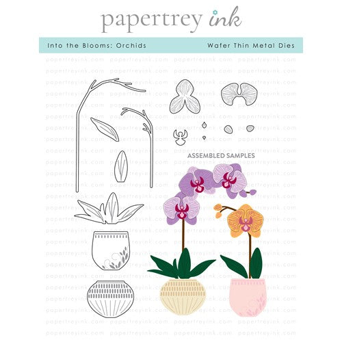 Simon Says Stamp! Papertrey ink INTO THE BLOOMS ORCHID Dies PTI-0462