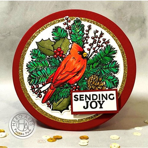 Simon Says Stamp! Hero Arts Clear Stamps HOLIDAY CARDINAL CM642