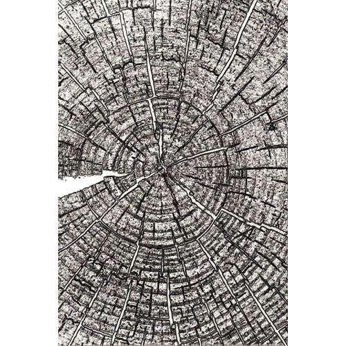 Tree Ring Texture