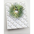 Simon Says Stamp! Poppy Stamps PINE NEEDLE SHOOTS Die 2535