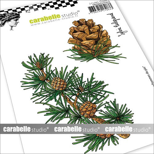 Simon Says Stamp! Carabelle Studio THORNS AND PINE CONES A6 Cling Stamps sa60627