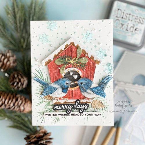 Simon Says Stamp! Simon Says Stamp Embossing Folder And Dies SNOWY BIRDHOUSE sfd309 | color-code:ALT03