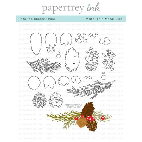 Pine Cones & Holly - Clear Stamp of The Month