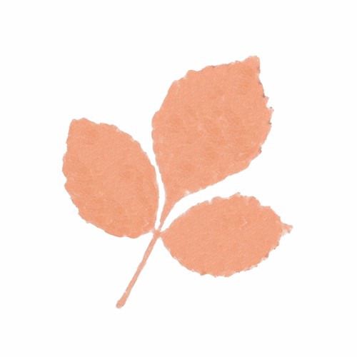 Simon Says Stamp! Tonic CORAL SKIES Nuvo Diamond Hybrid Ink Pads 95n