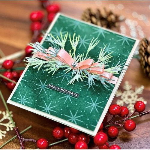 Simon Says Stamp! Simon Says Stamp PAWSITIVELY VELVET LUXURY CARDSTOCK Classic ssp1016