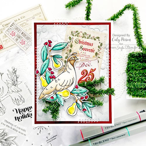 Simon Says Stamp! Simon Says Stamp FESTIVE FEATHERED FRIENDS Wafer Dies sssd112748c | color-code:ALT0