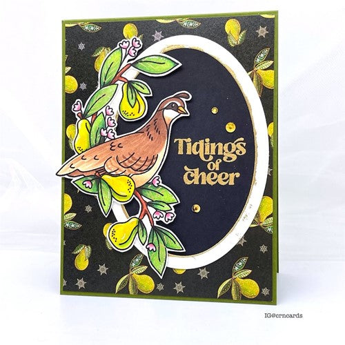 Simon Says Stamp! Simon Says Stamp FESTIVE FEATHERED FRIENDS Wafer Dies sssd112748c | color-code:ALT2