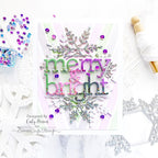 Simon Says Stamp! Simon Says Stamp Sequins WINTER GLITTER 1222wg Diecember | color-code:ALT3