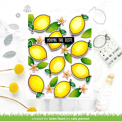 Simon Says Stamp! Lawn Fawn YOU'RE THE ZEST Clear Stamps lf3015 | color-code:ALT1