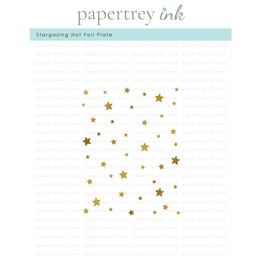 Papertrey Ink STARGAZING Hot Foil Plate PTIF-0007