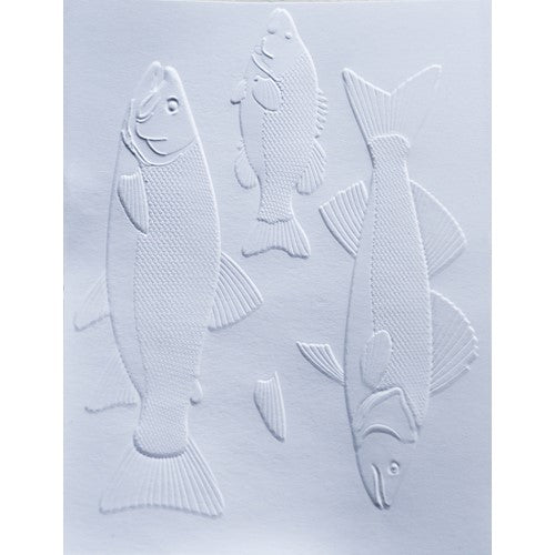 Memory Box FRESHWATER FISH 3D Embossing Folder and Dies ef1028