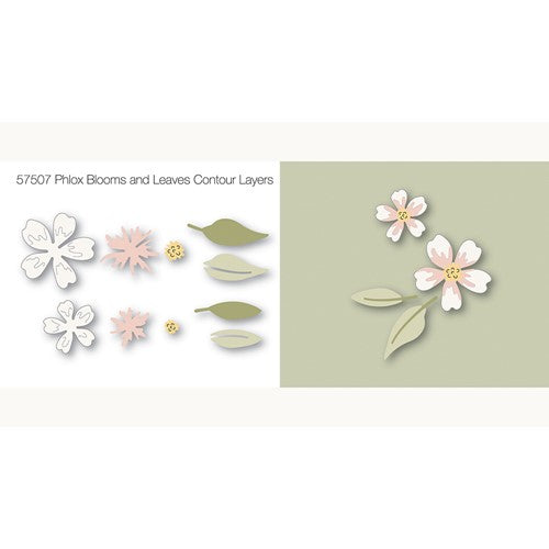 Birch Press Design Phlox Blooms And Leaves Contour Layers Dies 57507 detail
