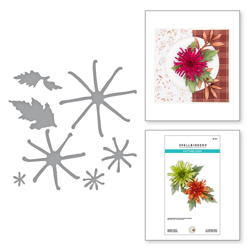 S5-576 Spellbinders Spider Mum Etched Dies detail