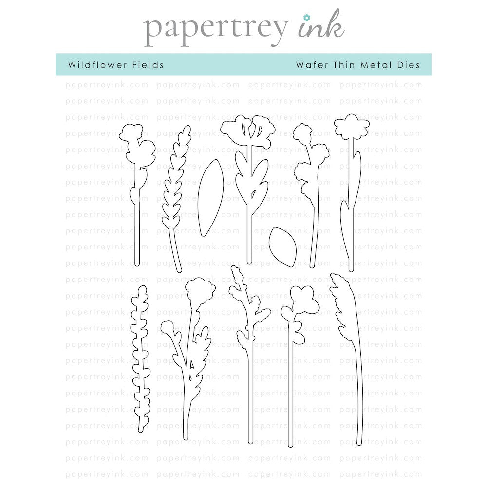 Papertrey Ink Wildflower Fields Dies PTI-0596
