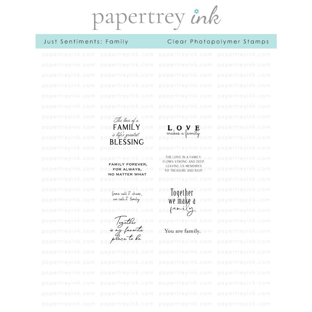 Papertrey Ink Just Sentiments Family Clear Stamps 1485