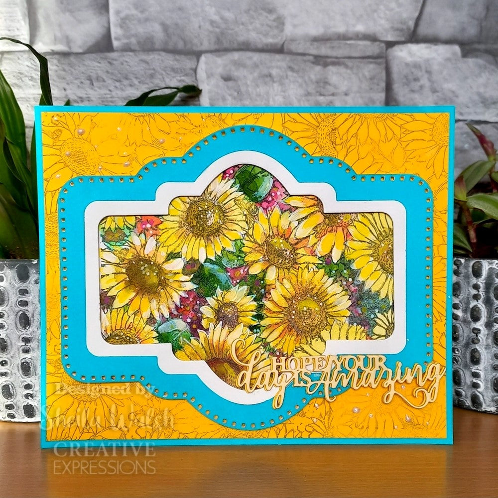 Creative Expressions Sunny Days Cling Stamp cer041 hopw your day is amazing
