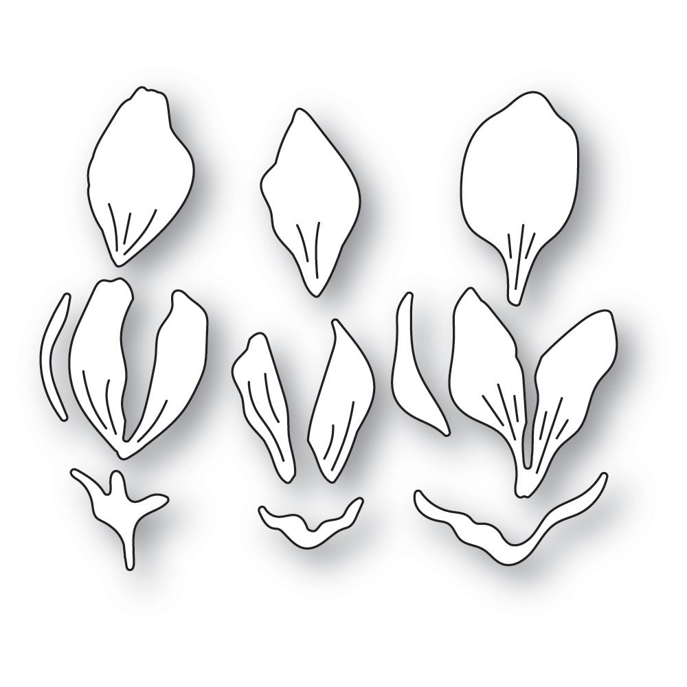 Memory Box Magnolia Bud Trio Dies 94718 detail pieces