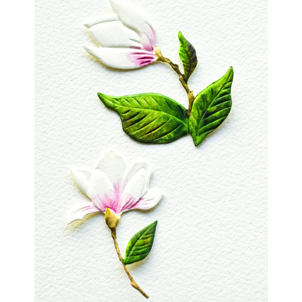 Memory Box Marvelous Magnolia 3D Embossing Folder and Cutting Dies ef1035 die cuts