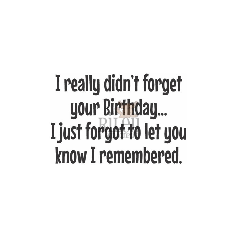 Riley And Company Funny Bones I Didn't Forget Your Birthday Cling Rubber Stamp RWD-1141