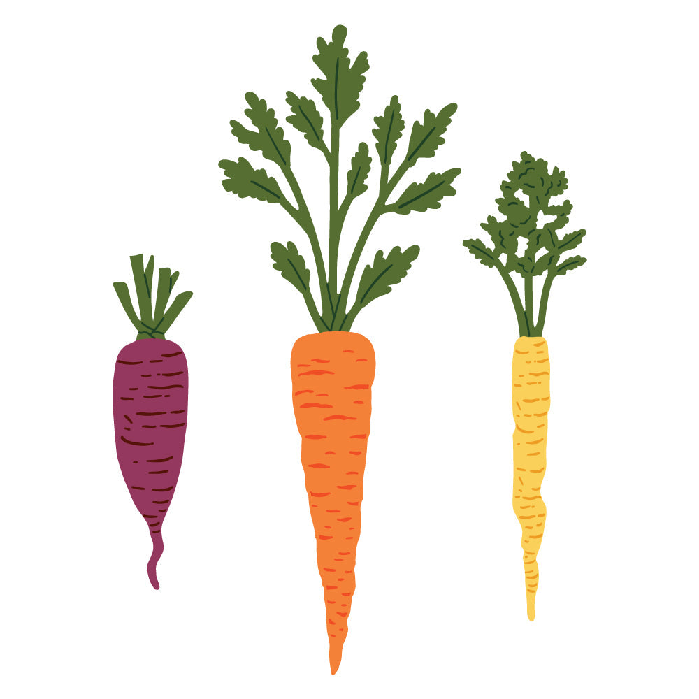 Honey Bee Lovely Layers Carrots Dies hbds-llcar