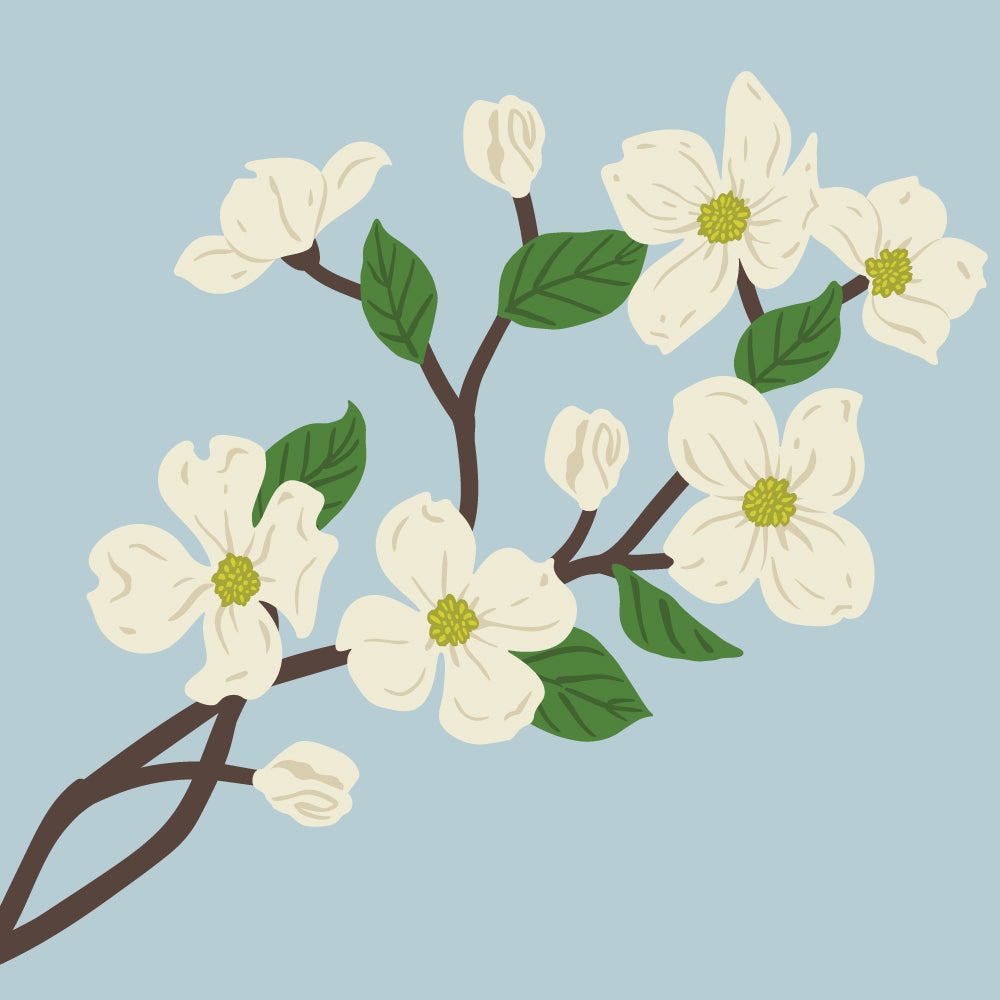 Honey Bee Lovely Layers Dogwood Dies hbds-lldgw Color Sample
