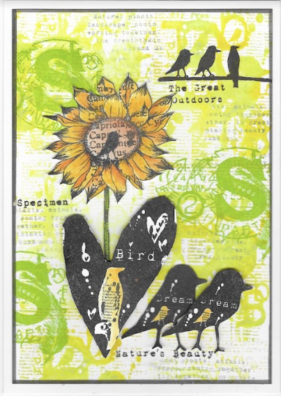 AALL & Create ORNITHOLOGY A7 Clear Stamp aall900 sunflower