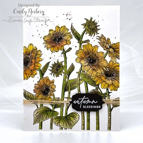 Simon Says Stamp! Simon Says Stamps and Stencils SUNFLOWER FIELDS set563sf Autumn Blessings Card Cindy Norberg