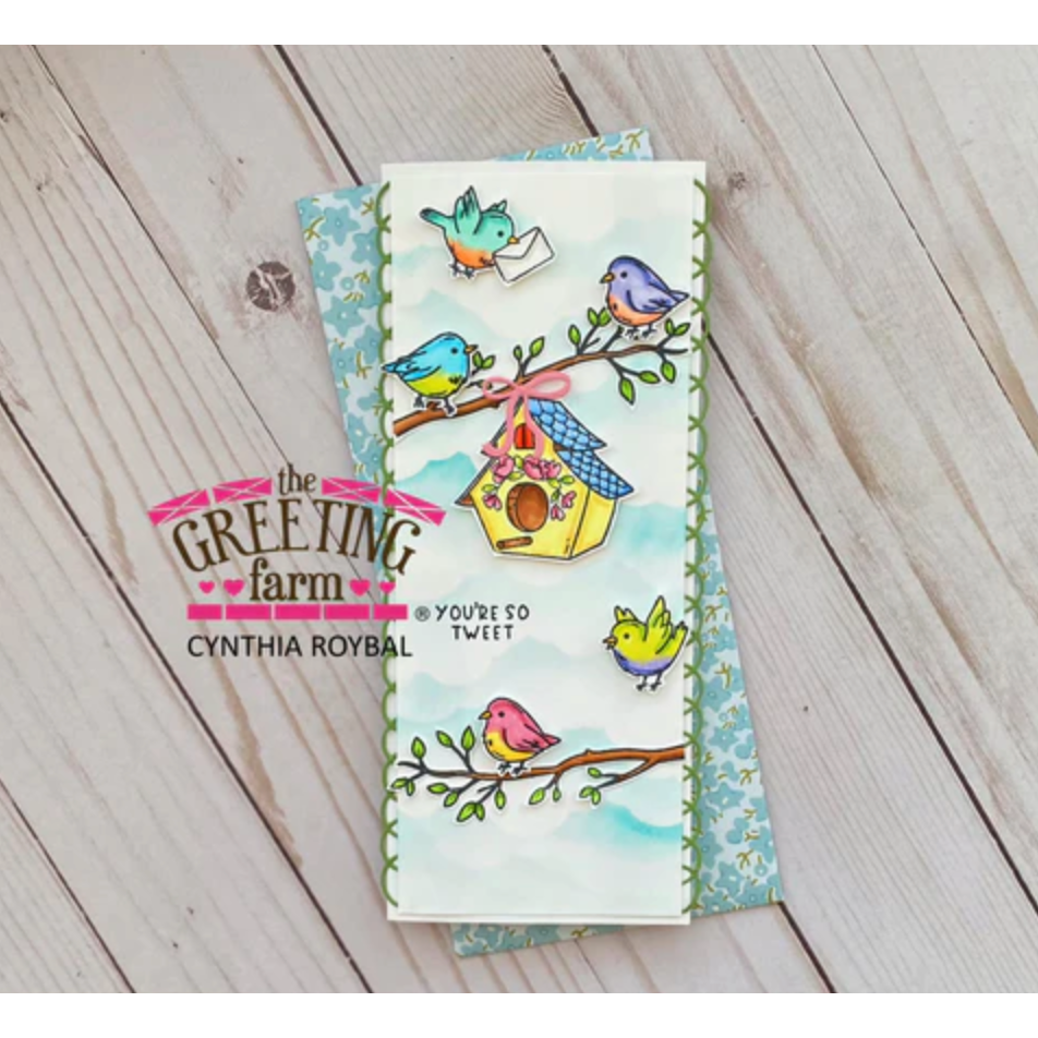 The Greeting Farm YOU'RE SO TWEET Clear Stamps tgf653 Tweet Slimline | color-code:ALT02