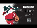 Simon Says Stamp! Tim Holtz Sizzix WOODLAND SANTA Colorize Thinlits Dies 665573