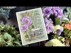 Simon Says Clear Stamps Poppy Perfection sss202517c *