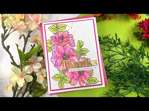 Simon Says Stamp! Tim Holtz Distress Watercolor Pencils SET 2 Ranger tdh76315