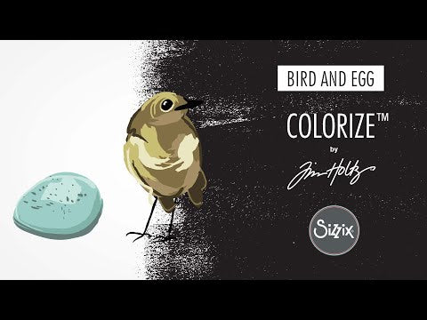 Simon Says Stamp! Tim Holtz Sizzix BIRD AND EGG Colorize Thinlits Dies 665857