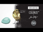 Simon Says Stamp! Tim Holtz Sizzix BIRD AND EGG Colorize Thinlits Dies 665857