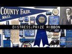 Simon Says Stamp! Tim Holtz Distress Spray Stain PRIZE RIBBON Ranger tss72713