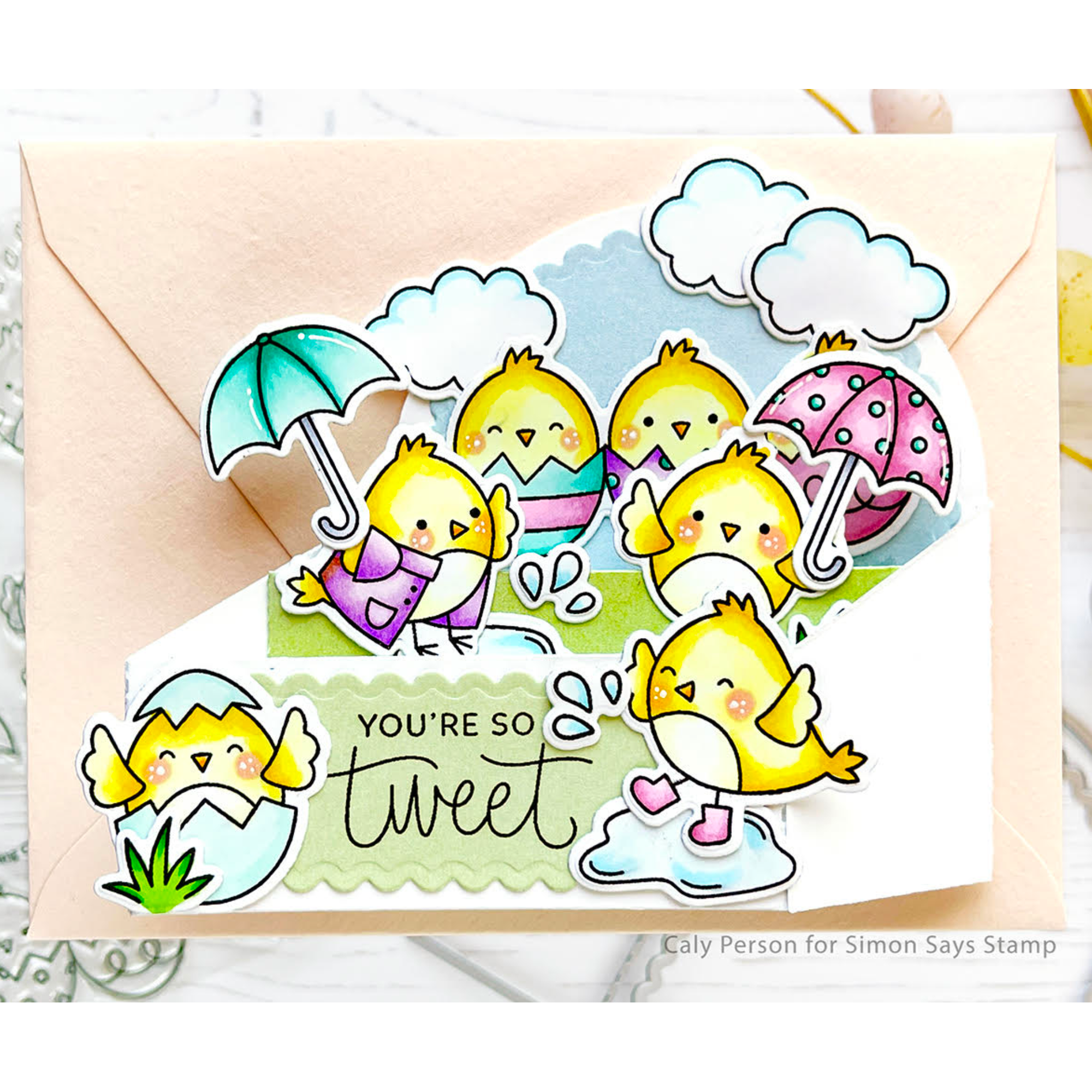 Pretty Pink Posh Spring Chicks Clear Stamps Chicks | color-code:ALT01