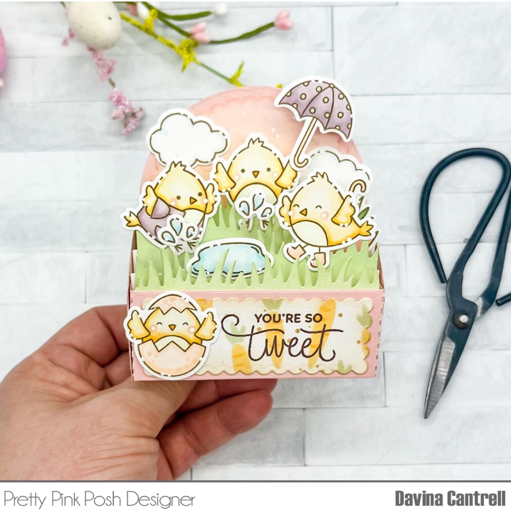 Pretty Pink Posh Spring Chicks Clear Stamps*