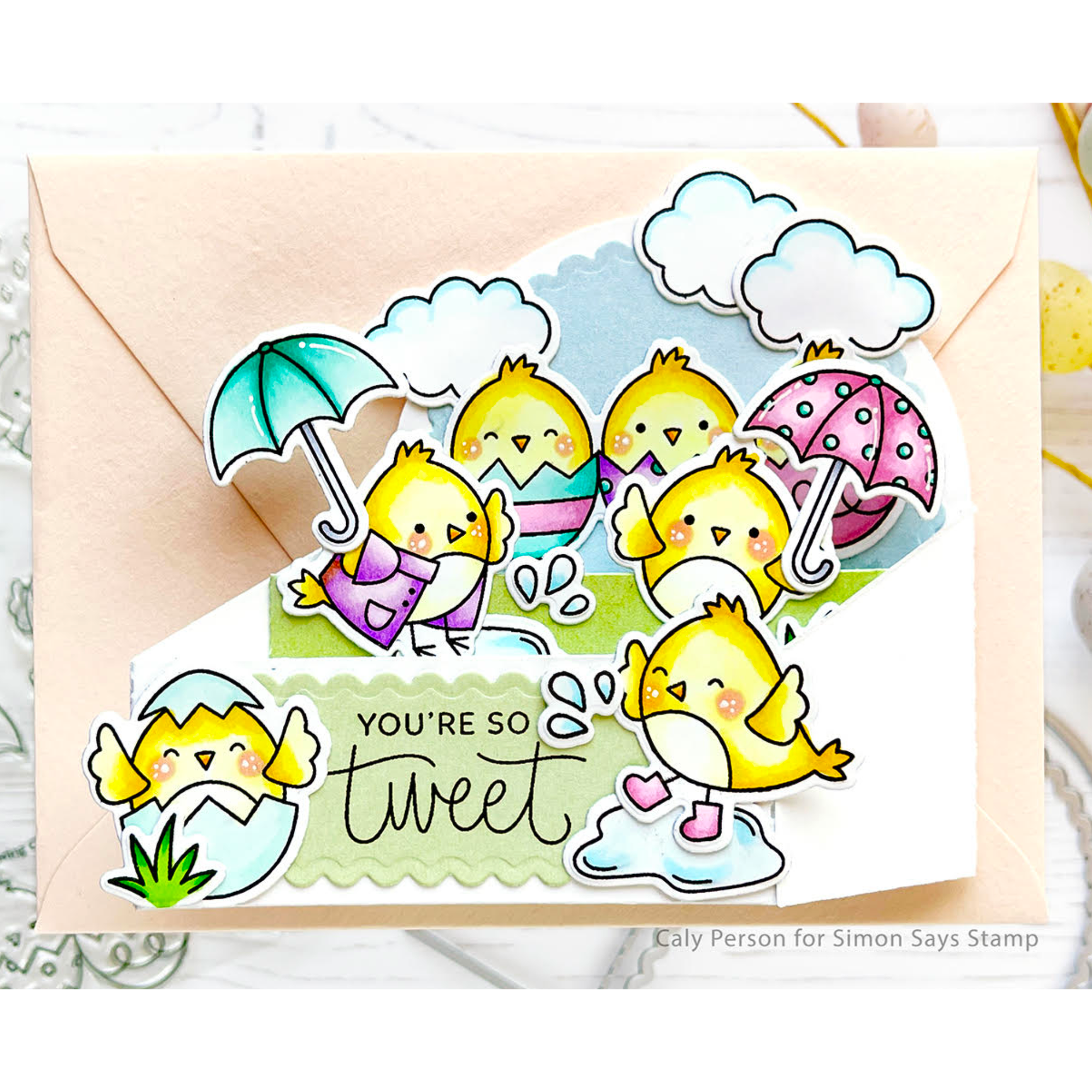 Pretty Pink Posh Scallop Box Card Dies Box | color-code:ALT01
