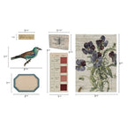 Tim Holtz Idea-ology TRANSPARENT THINGS 2 th94327 - Measurements