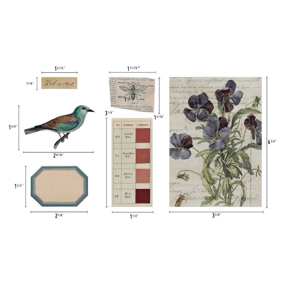 Tim Holtz Idea-ology TRANSPARENT THINGS 2 th94327 - Measurements