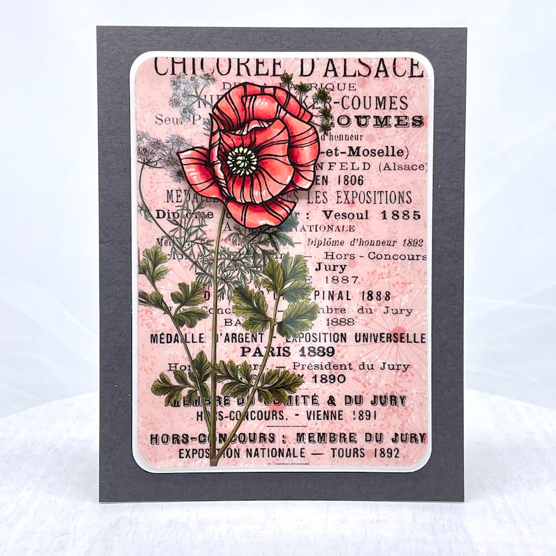 Simon Says Clear Stamps POPPY PERFECTION sss202517c Poppy Card  | color-code:ALT08
