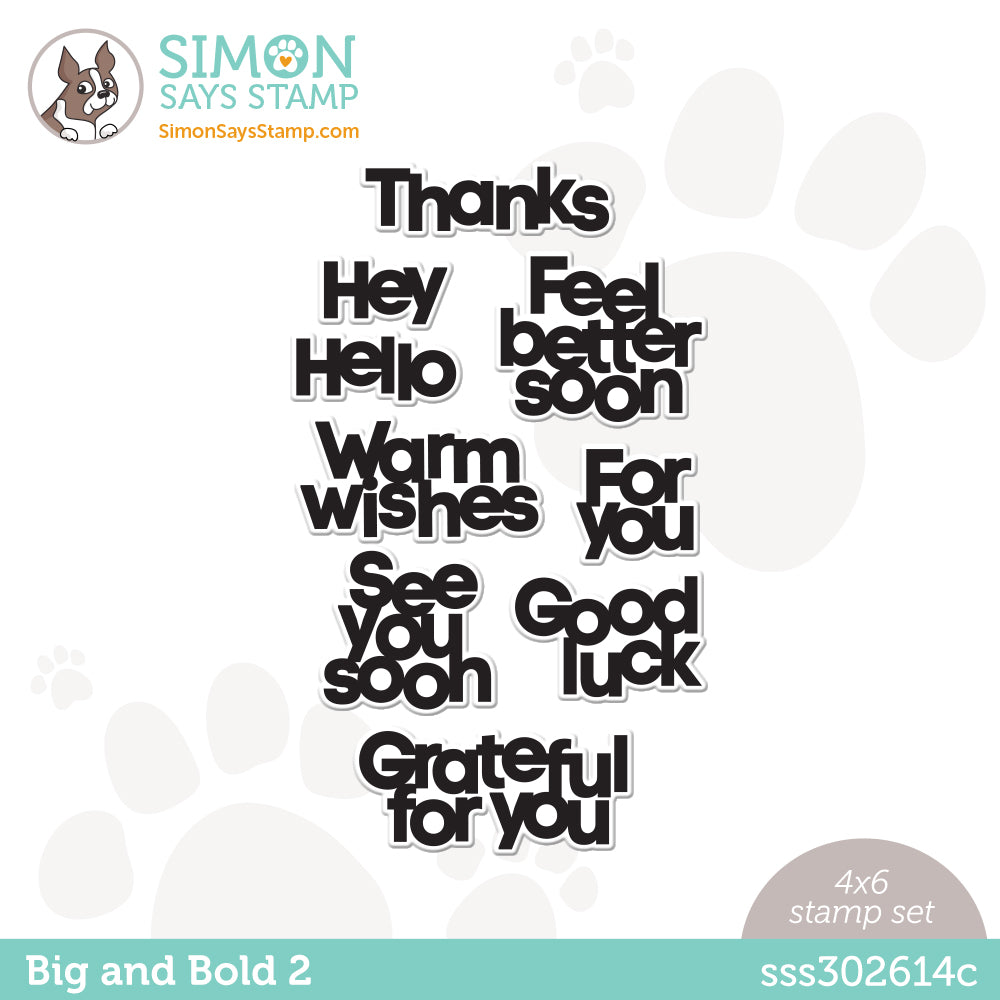 Simon Says Clear Stamps BIG AND BOLD 2 sss302614c Be Creative