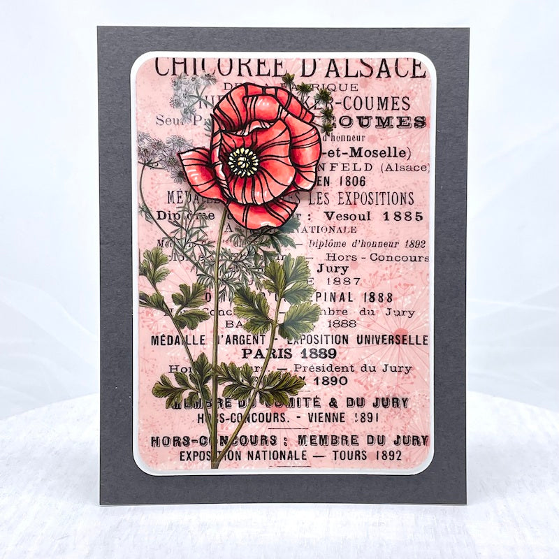 Simon Says Stamp POPPY PERFECTION Wafer Dies sssd112617c Poppies Card | color-code:ALT07