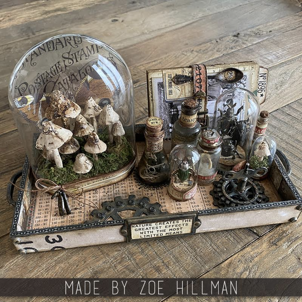 Tim Holtz Idea-ology RELIQUARY DOME th94323 Glass Display